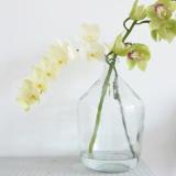 selinesteba.com - orchidee04.jpg