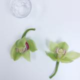 selinesteba.com - orchidee05.jpg