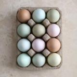 selinesteba.com - pastel-eggs-camillestylescom