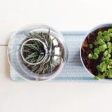 selinesteba.com - Sagaform green Seline Steba 2