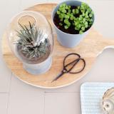 selinesteba.com - Sagaform green Seline Steba 3