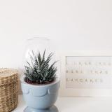 selinesteba.com - Sagaform green Seline Steba 5