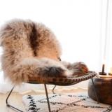 selinesteba.com - schaapsvacht.JPG