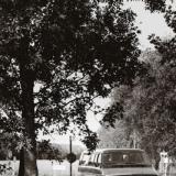 selinesteba.com - schokland scandinavie bus.jpg