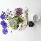 selinesteba.com - Seline Steba bloemen in huis.JPG