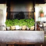 selinesteba.com - Seline Steba ikeacatalogus