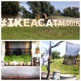 selinesteba.com - Seline Steba ikeacatalogus