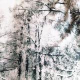 selinesteba.com - Seline Steba Vandyck.JPG