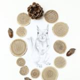 selinesteba.com - SelineSteba-bosdieren 009.JPG