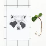 selinesteba.com - SelineSteba-bosdieren 035.JPG