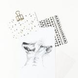 selinesteba.com - SelineSteba-bosdieren 089.JPG