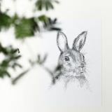 selinesteba.com - SelineSteba-bosdieren 104.JPG