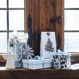 selinesteba.com - SG kerst.jpg