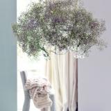 selinesteba.com - Soft Landing Indoor_1.1.low.jpg