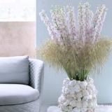 selinesteba.com - Soft Landing Indoor_1.3.low.jpg