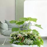 selinesteba.com - Soft Landing Indoor_6.low.jpg