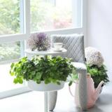 selinesteba.com - Soft Landing Indoor_7.low.jpg