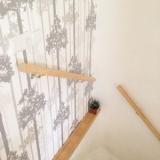 selinesteba.com - Super fresco easy Graham and brown.JPG