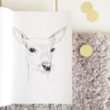 selinesteba.com - tekening volwassen hert Seline Steba.JPG