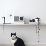 selinesteba.com - Tivoli Audio x Seline Steba.JPG