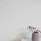 selinesteba.com - Twig leaves Jurianne Matter.JPG