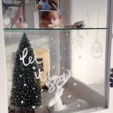 selinesteba.com - vitrinekast idee.JPG