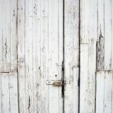 selinesteba.com - white5-1