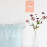 selinesteba.com - win roomblush kussens.JPG