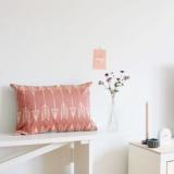 selinesteba.com - win roomblush kussens.JPG