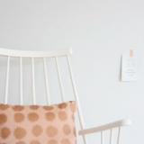 selinesteba.com - win roomblush kussens.JPG