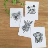 selinesteba.com - Win setje kaarten.JPG