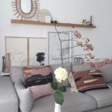 selinesteba.com - witte roos 03.JPG