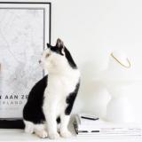 selinesteba.com - Xala Led lampen1.JPG